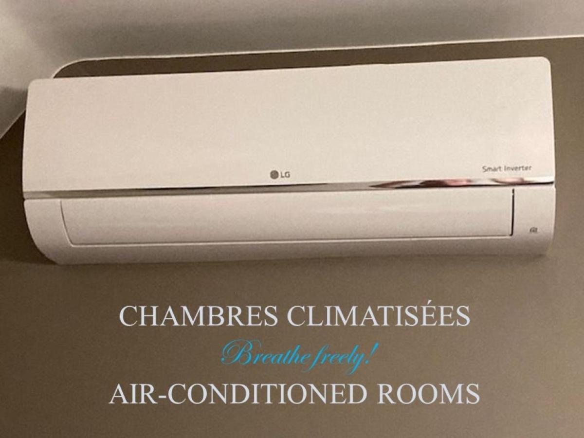 La Maison De Triboulet Chambres Et Table D'Hotes -Amboise- Pocé-sur-Cisse Esterno foto